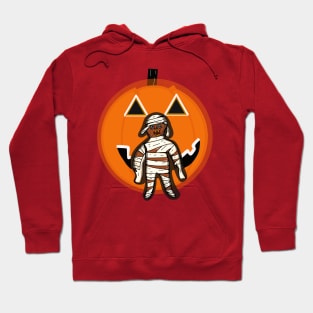 Zombie and pumpkin Hoodie